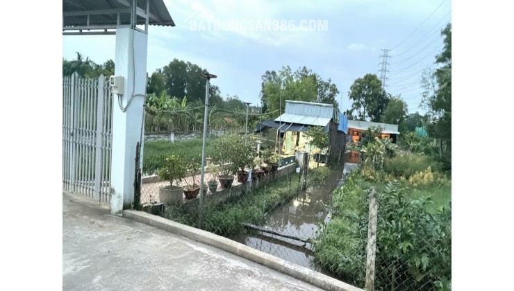Đất Vuông SHR HXH 2798m2 – Đông Thạnh 2 Hóc Môn